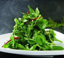 Longevity Greens