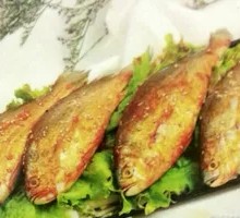 Yellow croaker