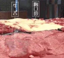 Freshly Sliced