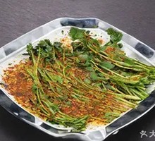 Grilled Cilantro