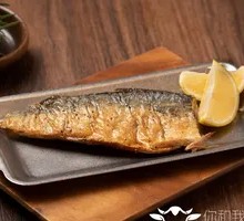 Pacific Saury
