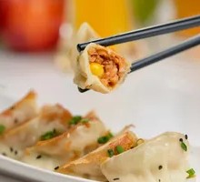 Golden Crispy Dumplings