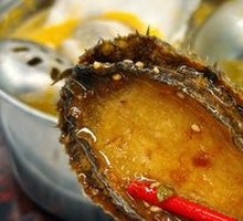 Six-Head Abalone