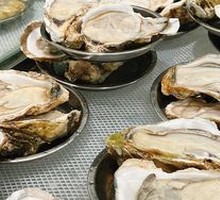 Oyster