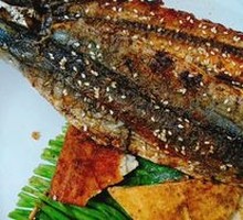 Sardine