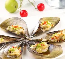 Scallop