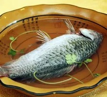 Crucian Carp