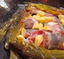 Gaya Fish