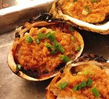 Swan Scallop