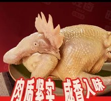 Sauce Chicken