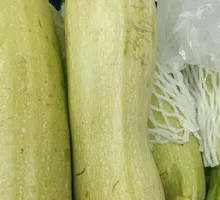West Melon Squash