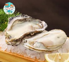 Plump Oyster