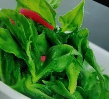 天山冰草