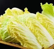 Napa cabbage