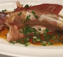 Golden Threadfin Bream