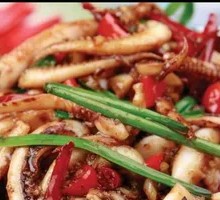 Spicy Squid