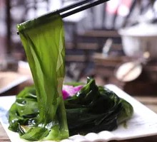 Sea lettuce