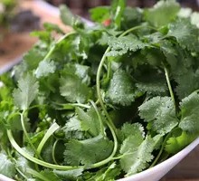 Cilantro