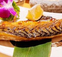 Grilled Pacific Saury