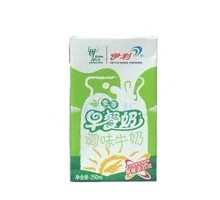 Breakfast Milk