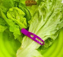 Lettuce