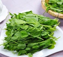 Pea Shoots