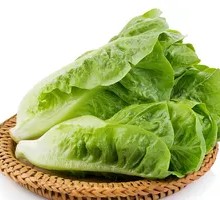Lettuce