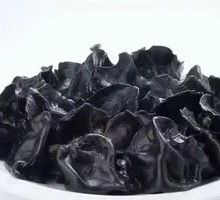 Squid Dumplings