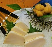 Sea Urchin
