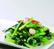 Guangdong Bok Choy