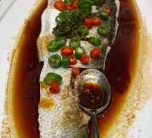 Tianshan Snow Fish