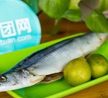Sardine