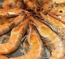 Shennan American Shrimp