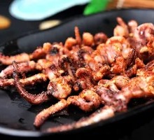 Squid