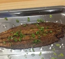 Sardine