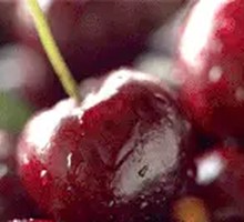 Cherry Freedom