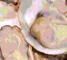 Steamed Oysters in Bamboo Steamer
