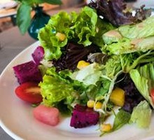 Organic Vegetable Salad