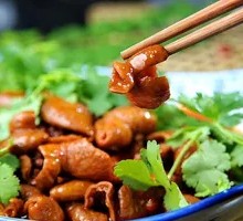 Pork Intestines