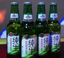 Tsingtao Pure Draft