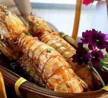 Small Female Spiny Lobster with Roe