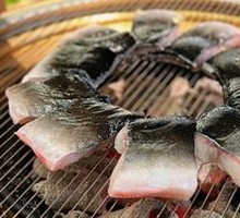 Nine Treasure Eel