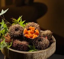 Live Sea Urchin Sashimi