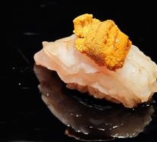 Sea Urchin and White Shrimp