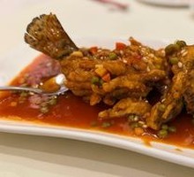Squirrel Mandarin Fish (starting at 50g)