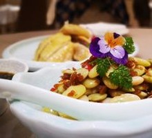 Pickled Cucumber with White Broad Beans