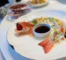 Golden Threadfin Bream
