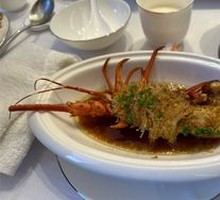 小青龙