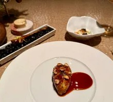 Pigeon and Eel