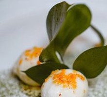 Lemon Osmanthus Yam